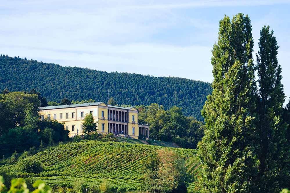 Pfalz-Dorfhaus Burrweiler Exterior photo